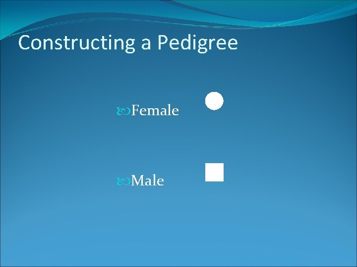 Constructing a Pedigree Female Male 