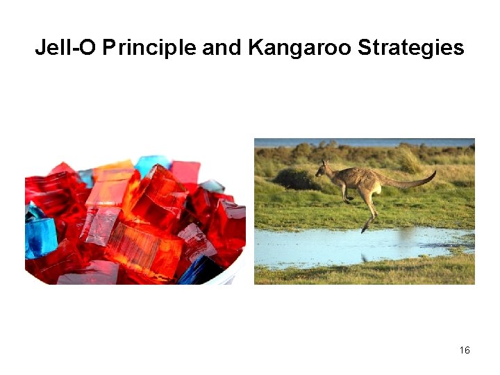 Jell-O Principle and Kangaroo Strategies 16 