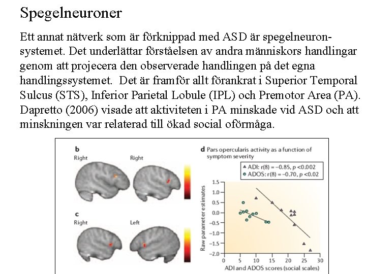 Spegelneuroner Ett annat nätverk som är förknippad med ASD är spegelneuronsystemet. Det underlättar förståelsen