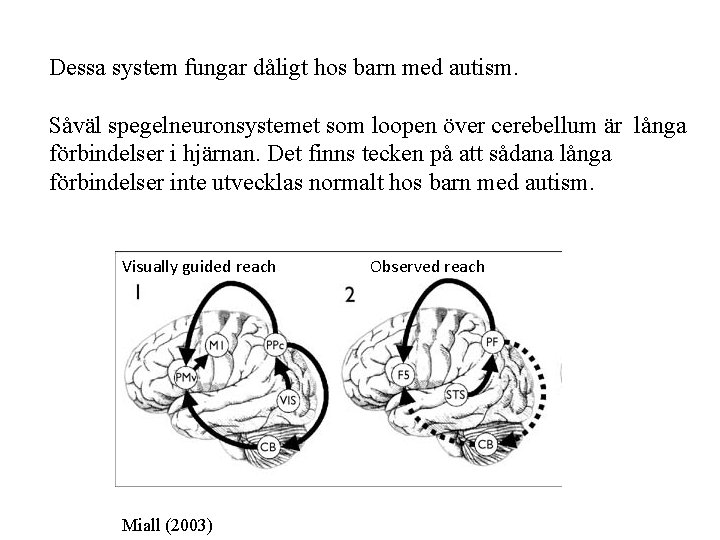 Dessa system fungar dåligt hos barn med autism. Såväl spegelneuronsystemet som loopen över cerebellum