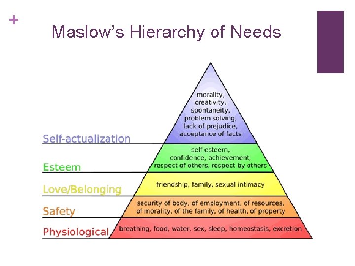 + Maslow’s Hierarchy of Needs 