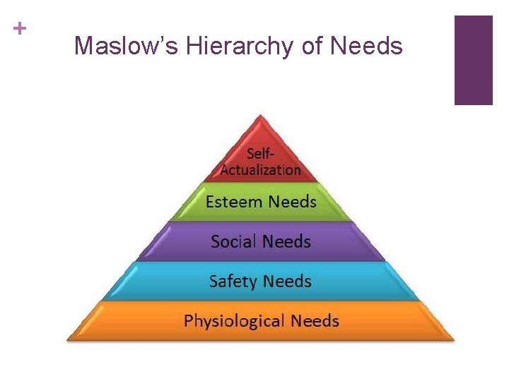 + Maslow’s Hierarchy of Needs 