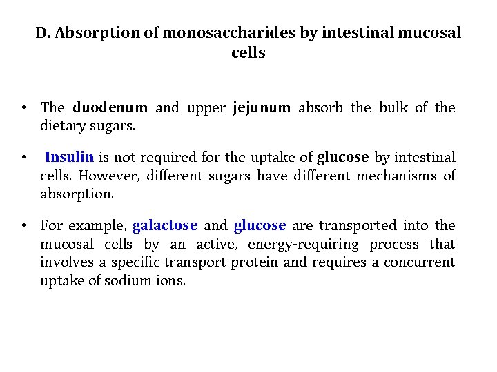 D. Absorption of monosaccharides by intestinal mucosal cells • The duodenum and upper jejunum