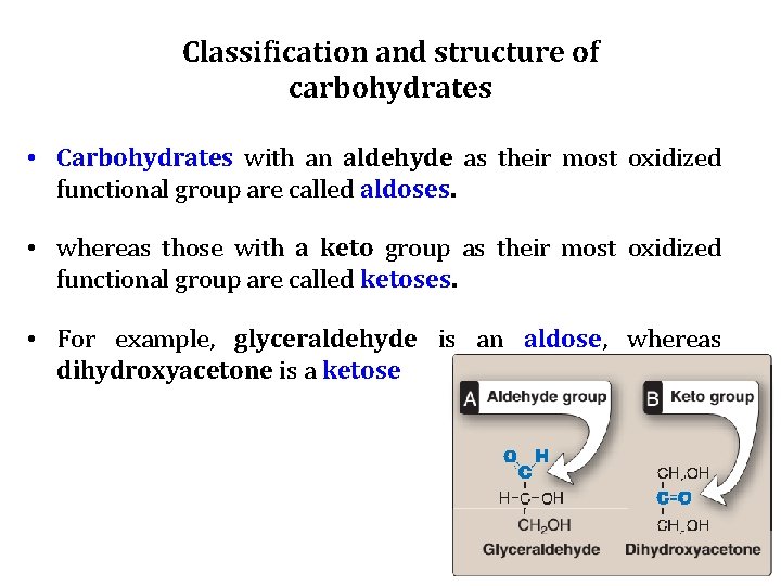 Classification and structure of carbohydrates • Carbohydrates with an aldehyde as their most oxidized