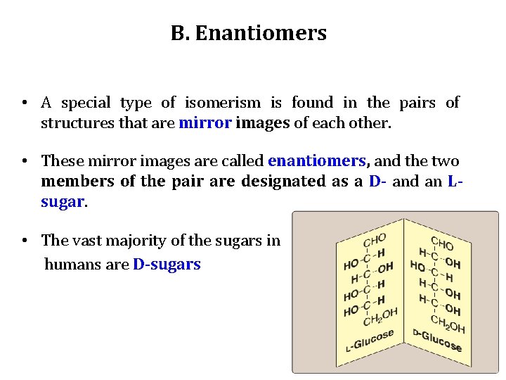 B. Enantiomers • A special type of isomerism is found in the pairs of