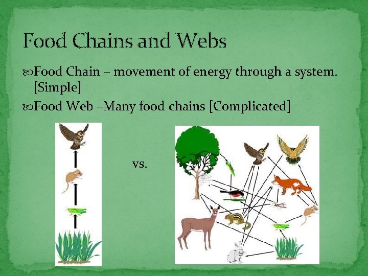 Food Chains and Webs Food Chain – movement of energy through a system. [Simple]