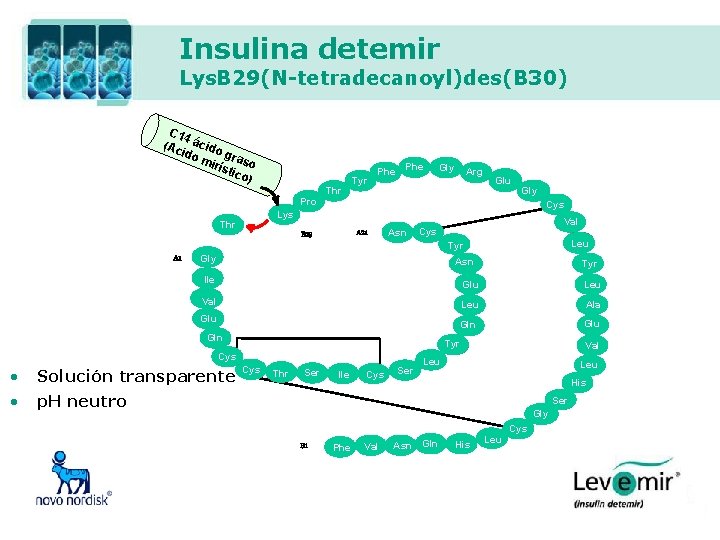 Insulina detemir Lys. B 29(N-tetradecanoyl)des(B 30) C 14 (Ac ácido g mir raso ísti