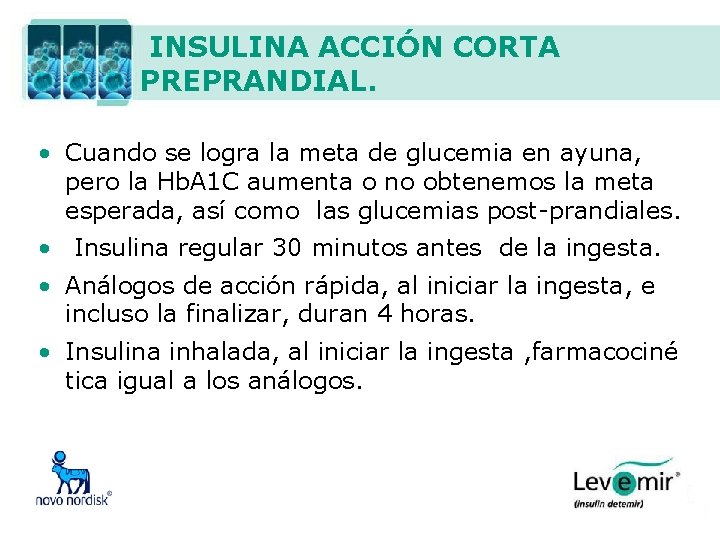 INSULINA ACCIÓN CORTA PREPRANDIAL. • Cuando se logra la meta de glucemia en ayuna,