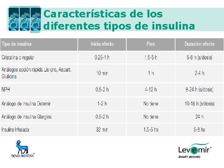 Características de los diferentes tipos de insulina 