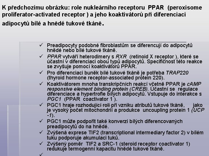 K předchozímu obrázku: role nukleárního receptoru PPAR ( peroxisome proliferator-activated receptor ) a jeho