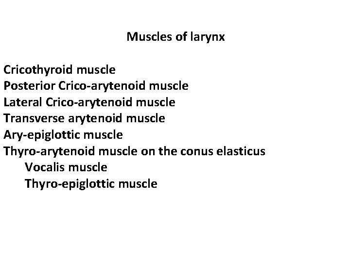 Muscles of larynx Cricothyroid muscle Posterior Crico-arytenoid muscle Lateral Crico-arytenoid muscle Transverse arytenoid muscle