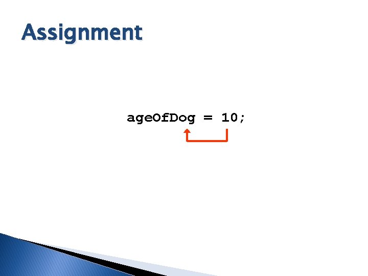 Assignment age. Of. Dog = 10; Assignment age. Of. Dog = 10;