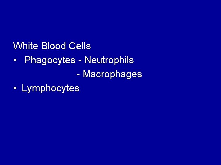 White Blood Cells • Phagocytes - Neutrophils - Macrophages • Lymphocytes 