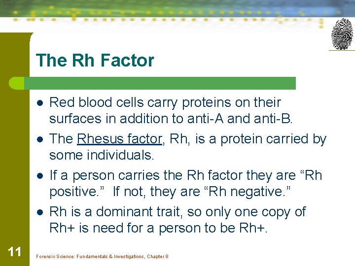The Rh Factor l l 11 Red blood cells carry proteins on their surfaces