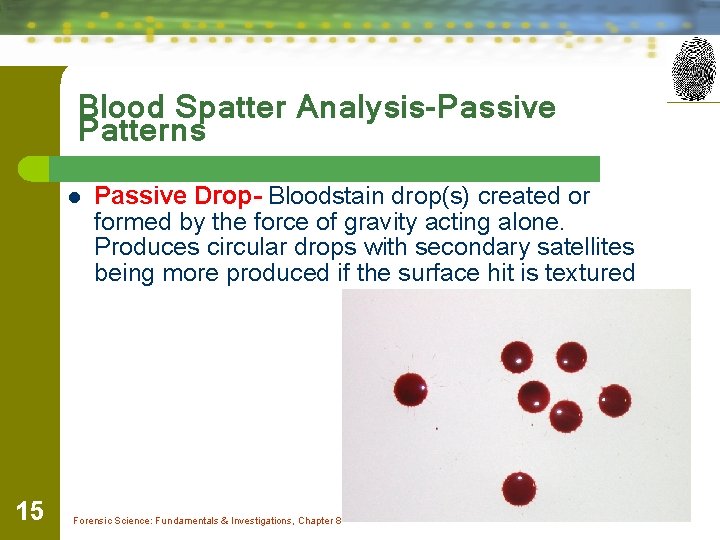 Blood Spatter Analysis-Passive Patterns l 15 Passive Drop- Bloodstain drop(s) created or formed by