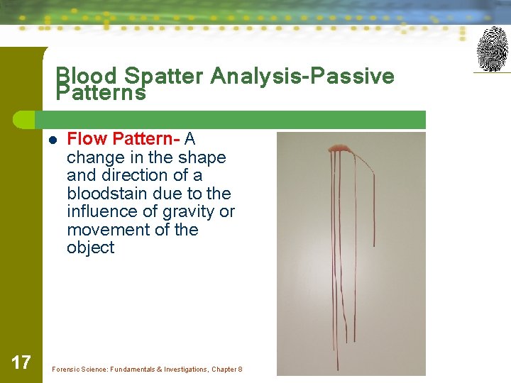 Blood Spatter Analysis-Passive Patterns l 17 Flow Pattern- A change in the shape and