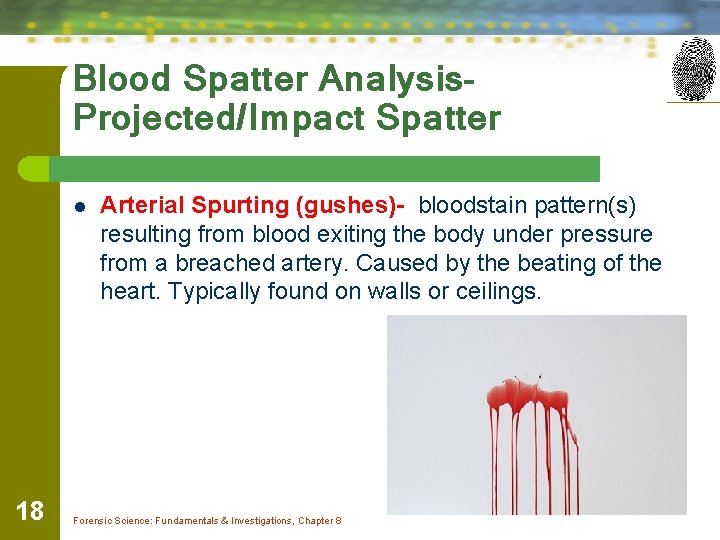 Blood Spatter Analysis. Projected/Impact Spatter l 18 Arterial Spurting (gushes)- bloodstain pattern(s) resulting from