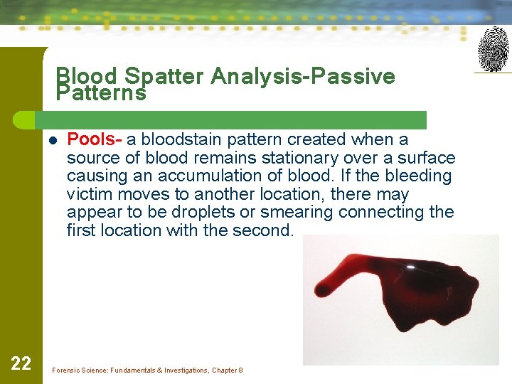 Blood Spatter Analysis-Passive Patterns l 22 Pools- a bloodstain pattern created when a source