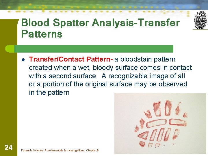 Blood Spatter Analysis-Transfer Patterns l 24 Transfer/Contact Pattern- a bloodstain pattern created when a