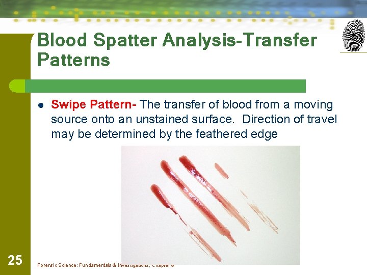Blood Spatter Analysis-Transfer Patterns l 25 Swipe Pattern- The transfer of blood from a