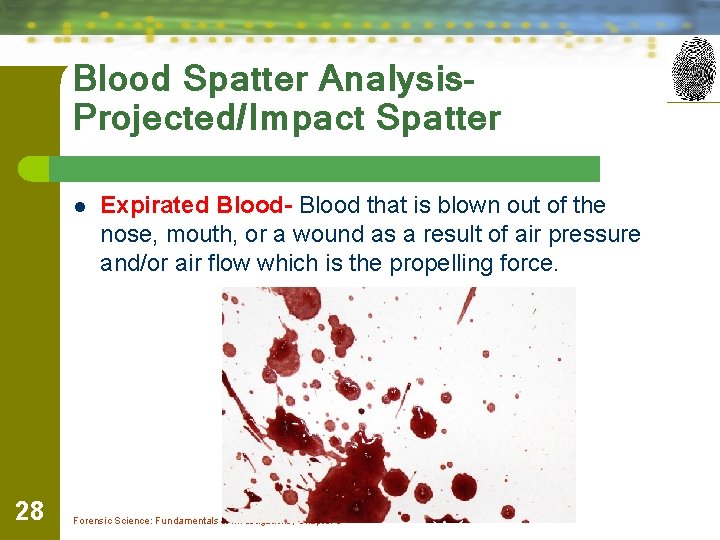 Blood Spatter Analysis. Projected/Impact Spatter l 28 Expirated Blood- Blood that is blown out