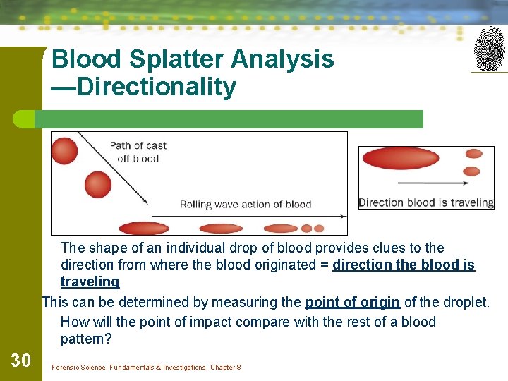 Blood Splatter Analysis —Directionality The shape of an individual drop of blood provides clues