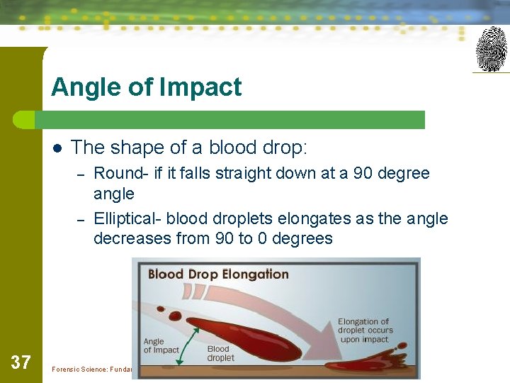 Angle of Impact l The shape of a blood drop: – – 37 Round-