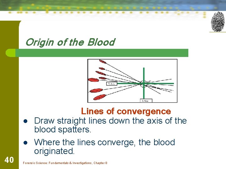Origin of the Blood l l 40 Lines of convergence Draw straight lines down