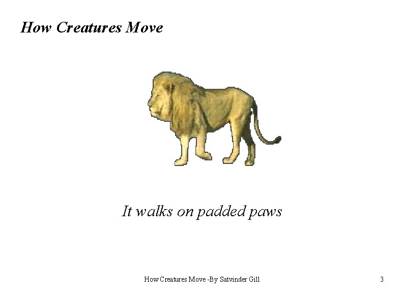 How Creatures Move It walks on padded paws How Creatures Move -By Satvinder Gill
