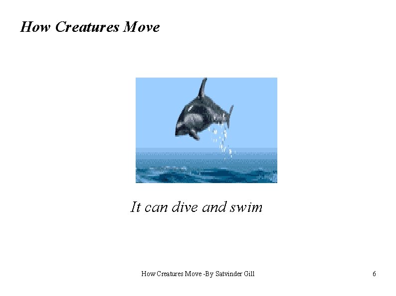 How Creatures Move It can dive and swim How Creatures Move -By Satvinder Gill