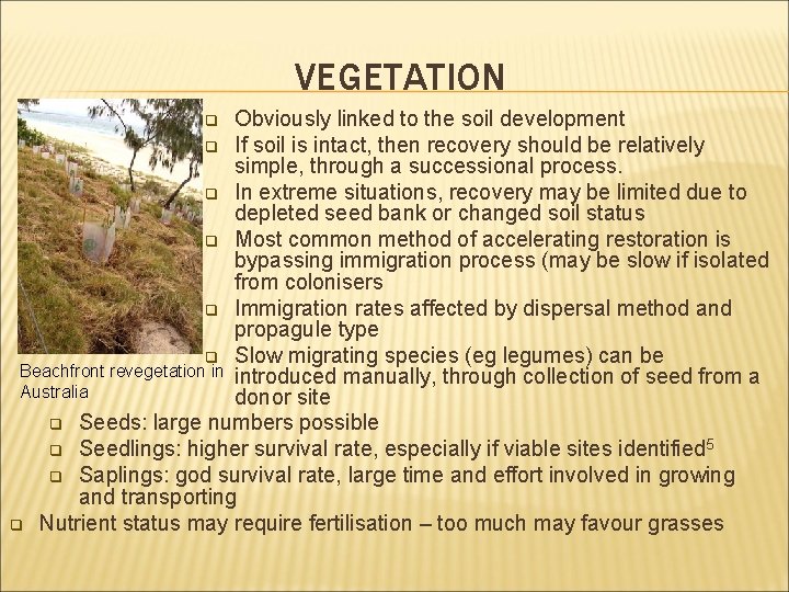 VEGETATION Obviously linked to the soil development q If soil is intact, then recovery