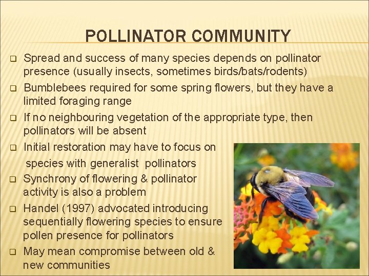 POLLINATOR COMMUNITY q q q q Spread and success of many species depends on