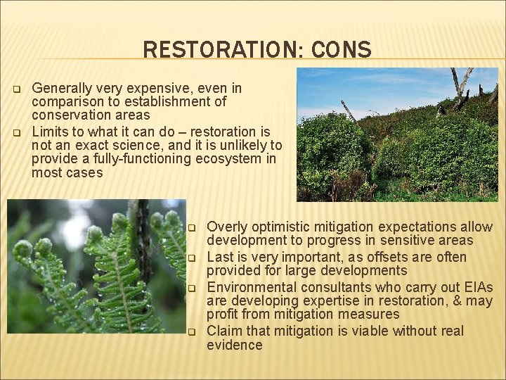 RESTORATION: CONS q q Generally very expensive, even in comparison to establishment of conservation