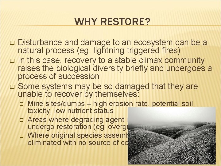 WHY RESTORE? q q q Disturbance and damage to an ecosystem can be a