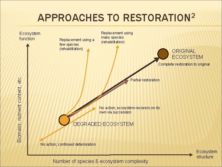 APPROACHES TO RESTORATION 2 Ecosystem function Replacement using a few species (rehabilitation) Replacement using