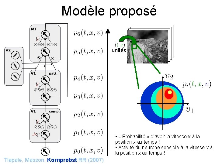 Modèle proposé unités • « Probabilité » d’avoir la vitesse v à la position