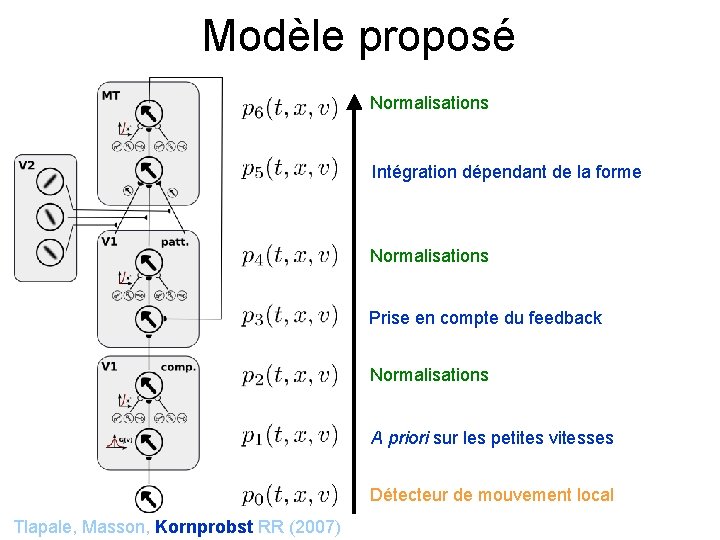 Modèle proposé Normalisations Intégration dépendant de la forme Normalisations Prise en compte du feedback