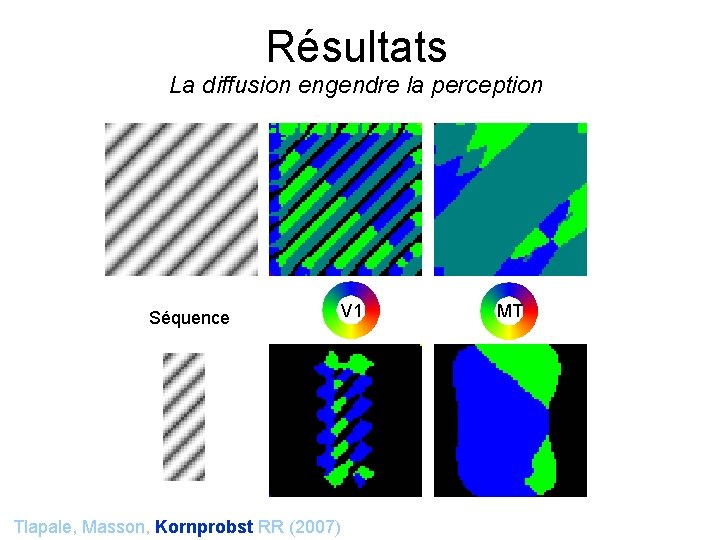 Résultats La diffusion engendre la perception Séquence V 1 Tlapale, Masson, Kornprobst RR (2007)