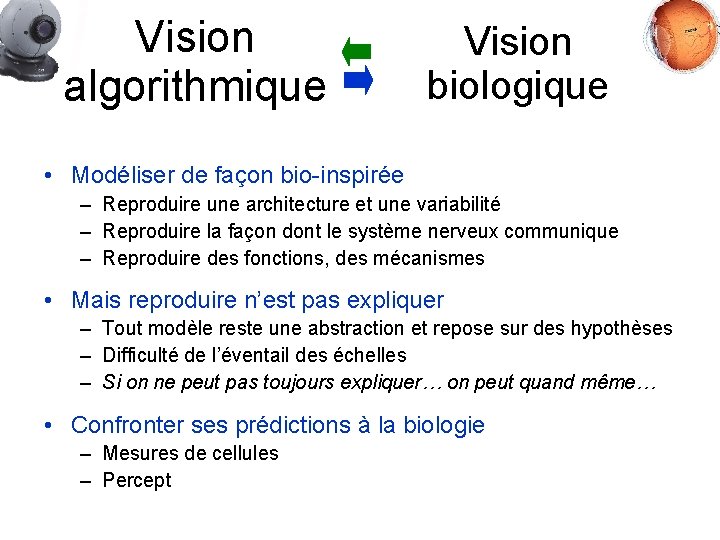 Vision algorithmique Vision biologique • Modéliser de façon bio-inspirée – Reproduire une architecture et