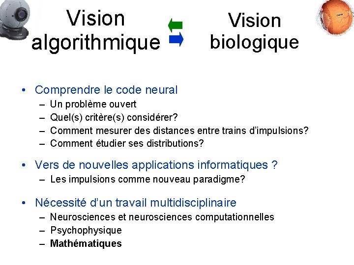 Vision algorithmique Vision biologique • Comprendre le code neural – – Un problème ouvert