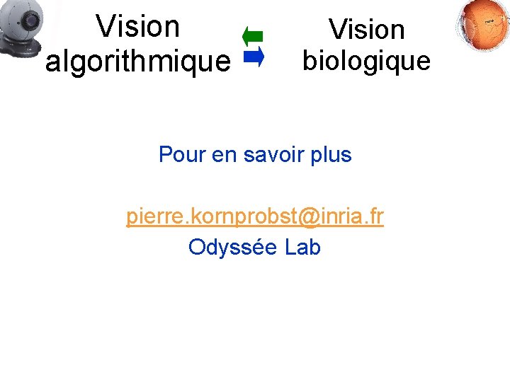 Vision algorithmique Vision biologique Pour en savoir plus pierre. kornprobst@inria. fr Odyssée Lab 
