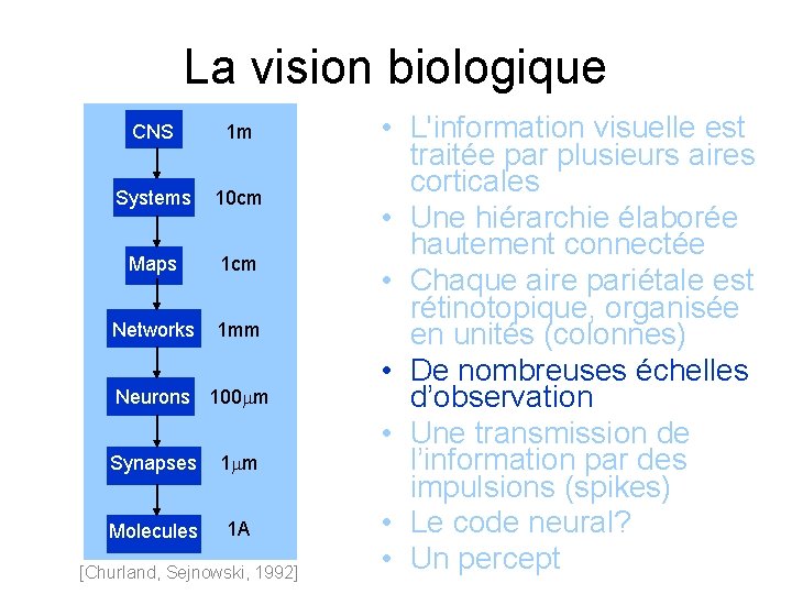 La vision biologique CNS 1 m Systems 10 cm Maps 1 cm Networks 1