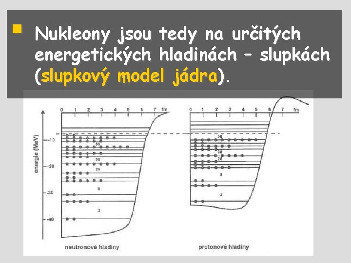 § Nukleony jsou tedy na určitých energetických hladinách – slupkách (slupkový model jádra). 