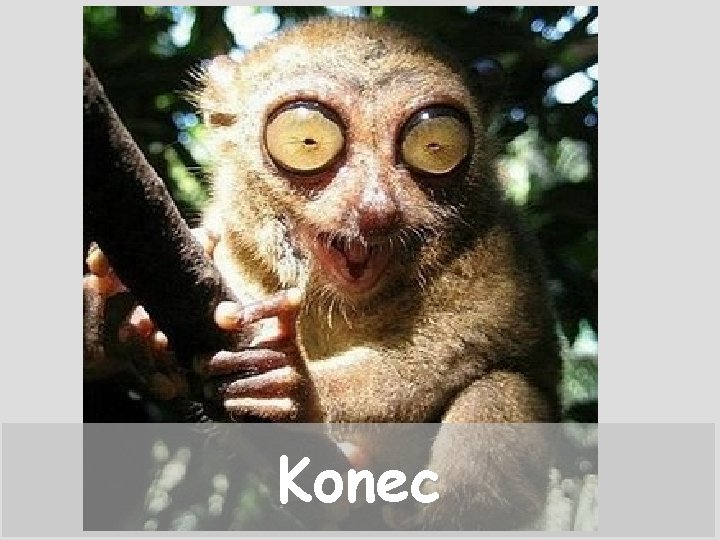 Konec 