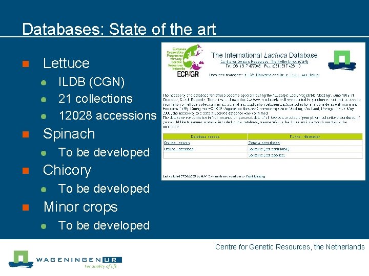 Databases: State of the art n Lettuce l l l n Spinach l n