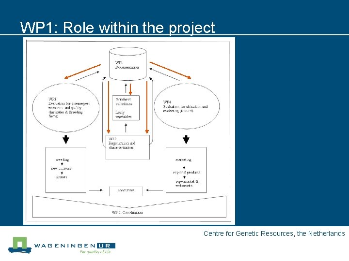 WP 1: Role within the project Centre for Genetic Resources, the Netherlands 