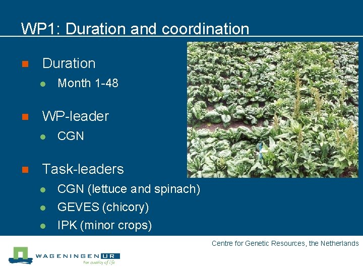 WP 1: Duration and coordination n Duration l n WP-leader l n Month 1