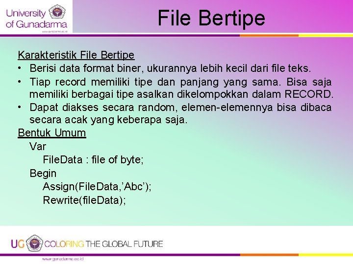 File Bertipe Karakteristik File Bertipe • Berisi data format biner, ukurannya lebih kecil dari