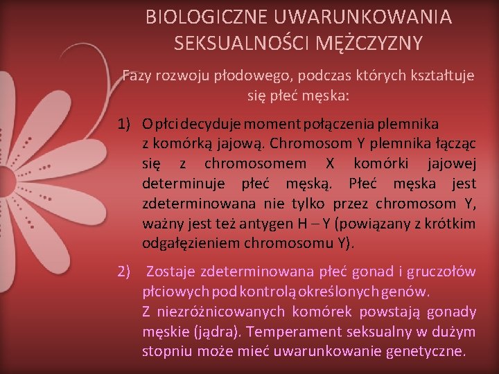 BIOLOGICZNE UWARUNKOWANIA SEKSUALNOŚCI MĘŻCZYZNY Fazy rozwoju płodowego, podczas których kształtuje się płeć męska: 1)