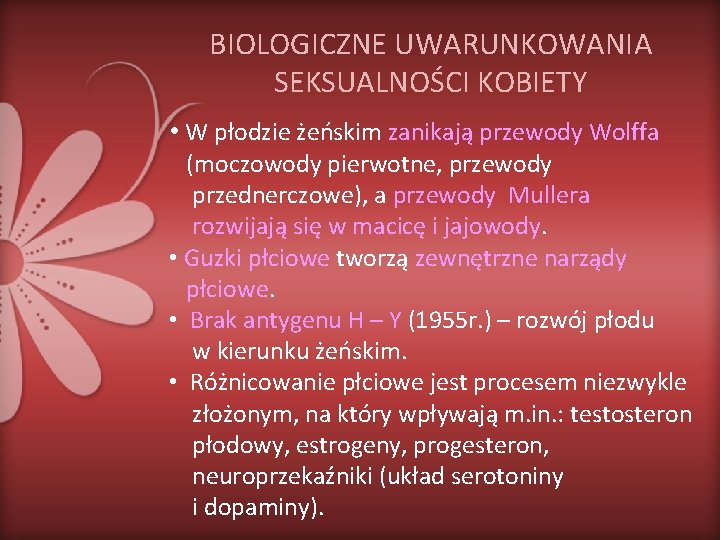 BIOLOGICZNE UWARUNKOWANIA SEKSUALNOŚCI KOBIETY • W płodzie żeńskim zanikają przewody Wolffa (moczowody pierwotne, przewody